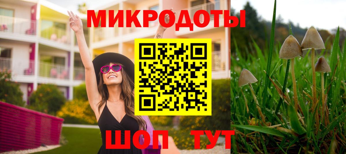 Галлюциногенные грибы Magic Shrooms Калач-на-Дону