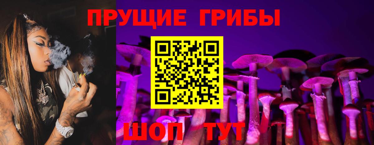 Калач-на-Дону  Псилоцибиновые грибы Cubensis  Вход с VPN 